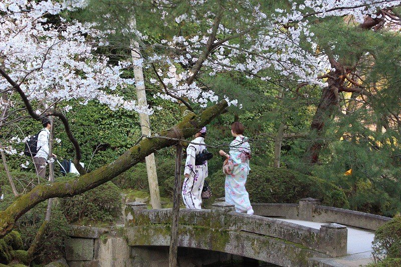 Women in kimono take a stroll through Heian Jingu's gardens