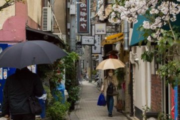 <p>This might be the smallest street in Kyoto; it&#39;s a side street of Kiyamachi Dori, from Shijo Dori towards Gojo Dori, just about 50 meters in length. The street is lined with sakura trees</p>