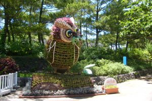 Hi there! You want fish, I`ll show you a fish! A topiary owl welcomes you to Ocean Expo Park, home of Churaumi Aquarium.