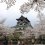 ปราสาท Inuyama เมื่อยามซากุระบาน