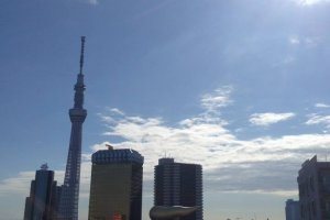 นอกจากนั้น คุณสามารถขึ้นลิฟต์ไปชั้น 8 จะมีจุดชมวิวที่สวยงามอยู่ โดยคุณสามารถมองเห็น Landmark ที่สำคัญคือ Tokyo Skytree แม้กระทั่งตึกรูปร่างประหลาดอาซาฮีได้อย่างชัดเจนทีเดียว