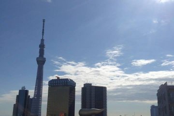 <p>นอกจากนั้น คุณสามารถขึ้นลิฟต์ไปชั้น 8 จะมีจุดชมวิวที่สวยงามอยู่ โดยคุณสามารถมองเห็น Landmark ที่สำคัญคือ Tokyo Skytree แม้กระทั่งตึกรูปร่างประหลาดอาซาฮีได้อย่างชัดเจนทีเดียว</p>