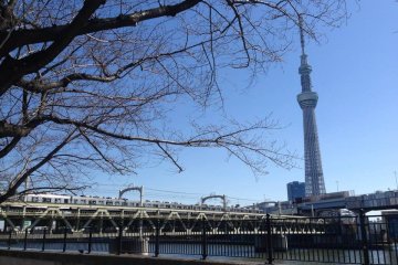 <p>มองไปริมผั่งแม่น้ำคุณจะพบกับความสวยงามของ Tokyo skytree และบรรยากาศที่ผ่อนคลายริมแม่น้ำ</p>