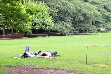 <p>นักท่องเที่ยวที่นอนพักอย่างสบายอารมณ์บนพื้นหญ้า&nbsp;</p>