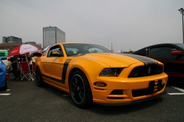<p>Modern muscle: Ford Mustang</p>