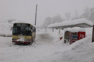 รถบัสจากสถานีโทการิ โนซาวะ ออนเซ็นพาไปส่งถึงป้ายนากาโอะในเวลาประมาณ 15 นาที