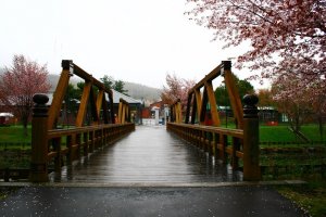 สะพานข้ามไปเขตพิพิธภัณฑ์
