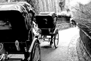 <p>Visitors enjoying a ride through the Sagano Bamboo Grove in rickshaws</p>