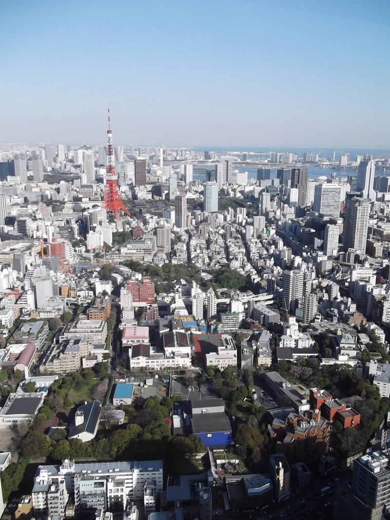 <p>If you go up Tokyo Tower, you can&#39;t see it, but from here you can!</p>