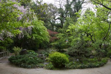 <p>The lush green center of the garden in the beginning of April</p>