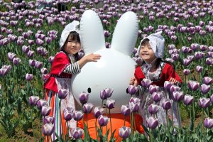 Kostum tradisional "Dutch Maid" juga tersedia bagi pengunjung, baik besar maupun kecil, jadi Anda bisa berkostum sambil mengambil foto cantik dengan tulip dan boneka kelinci.
