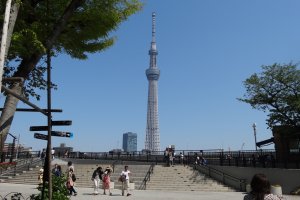 สวนสาธารณะสุมิดะที่อะซะกุซะ อยู่ตรงกันข้ามริมฝั่งแม่น้ำกับ Tokyo Skytree