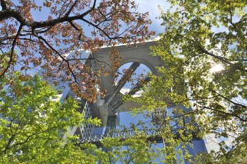 Adjacent to the Umeda Sky Building is a small garden that blooms cherry blossoms in April. You can also find a small waterfall and Japanese bridge here.