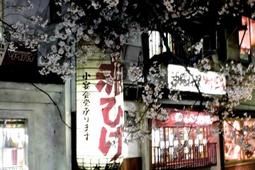 <p>아름다운 벚꽃에 둘러 쌓여 있는 조그만 음식점</p>
