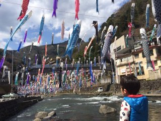 A little kid amazed with the carp streamers