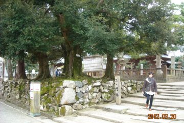 Matsue Castle temple
