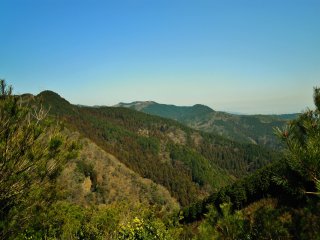 The hills around Minoo waterfall are perfect for hiking.