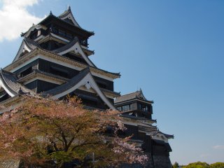 You think about spring in Japan and you usually think of cherry blossoms. So of course there are a few cherry trees right in front of the two majestic towers of the castle keep.