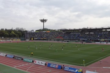 <p>The banked seats give a good view of the action</p>