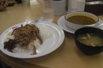 <p>Matsuya has a variety of different dishes, all of them delicious</p>