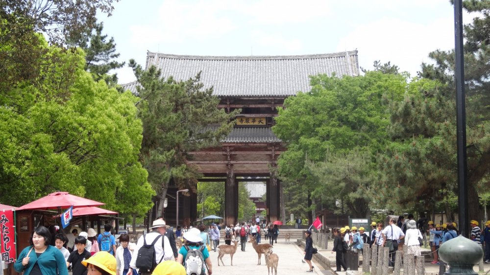ประตูขนาดใหญ่ที่มีชื่อว่า นันได-มอน (Nandai-mon) เป็นสถาปัตยกรรมจากศตวรรษที่ 8 เพียงชิ้นเดียวที่หลงเหลืออยู่