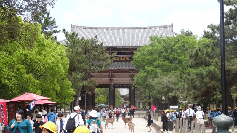 <p>ประตูขนาดใหญ่ที่มีชื่อว่า นันได-มอน (Nandai-mon) เป็นสถาปัตยกรรมจากศตวรรษที่ 8 เพียงชิ้นเดียวที่หลงเหลืออยู่</p>
