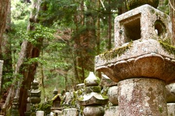 In Koya-San's cemetery - believed to be the sacred ground of Kobo Daishi