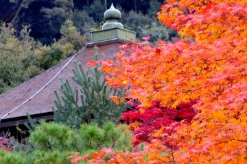 Temple roof and autumn leaves