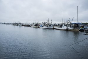Rows of fishing boats along the port of Sakaiminato.