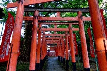 <p>There is a small Inari Shrine beside Toyokuni Shrine. These lead the way from the red Torii to Inari Shrine</p>