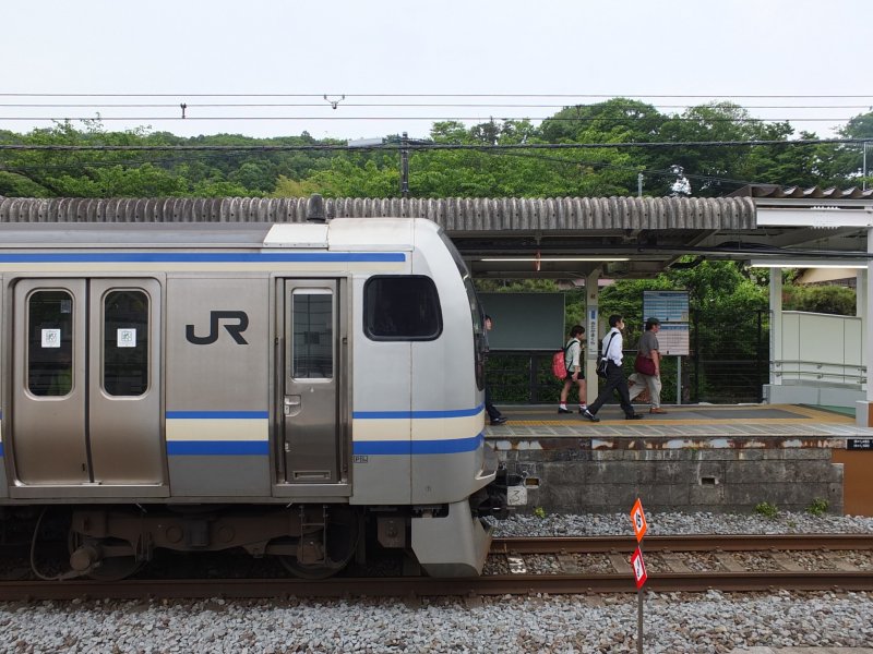 <p>JR Yokosuka Line</p>