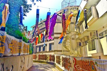 <p>Colorful &#39;Carp Banners&#39; displayed around apartment block leading&nbsp;down to the forest entrance</p>