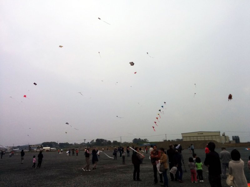 <p>The kites of the festival fly freely</p>