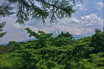 At 14-meters high, the highest point of the Adventure Course, look beyond the forest to find beautiful Mt Fuji. Best birdseye view ever!