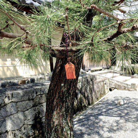วัด Myoshin-ji และภายในบริเวณ