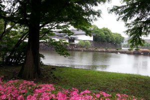 Looking towards the Imperial Palace East Garden entry gate