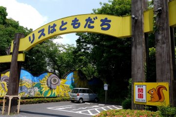 <p>Entrance to the squirrel park</p>