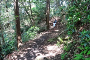 <p>เส้นทางคามาคุระ เท็น-เอ็น (Kamakura Ten-en Hiking Course)</p>