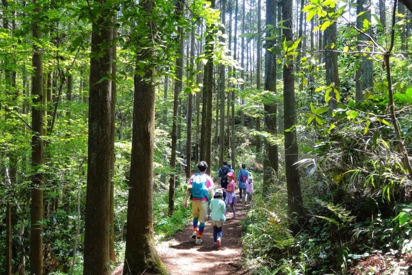 เส้นทางคามาคุระ เท็น-เอ็น (Kamakura Ten-en Hiking Course)