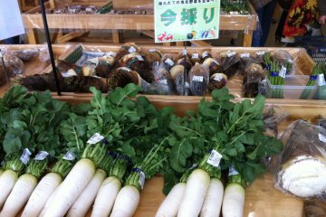 Fresh daikon radishes and bamboo shoots