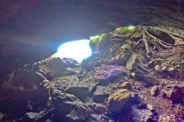 <p>The clearly visible exit from inside the cave</p>