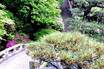 <p>Stone bridge and steps leading up to a teahouse that overlooks the pond and garden</p>