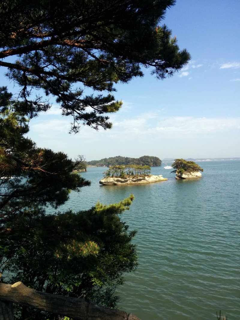 <p>Oshima Island offers great views of the bay with some of the pine covered islands which Matsushima is famous for</p>