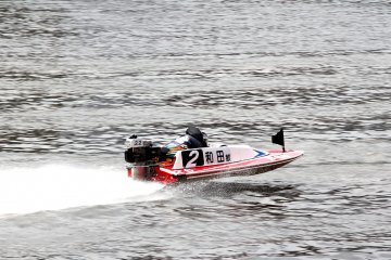 <p>The boats are relatively small but they pick up speed really fast and fly over the water.&nbsp;</p>