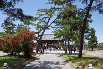 <p>Long approach to Nandai-mon Gate</p>