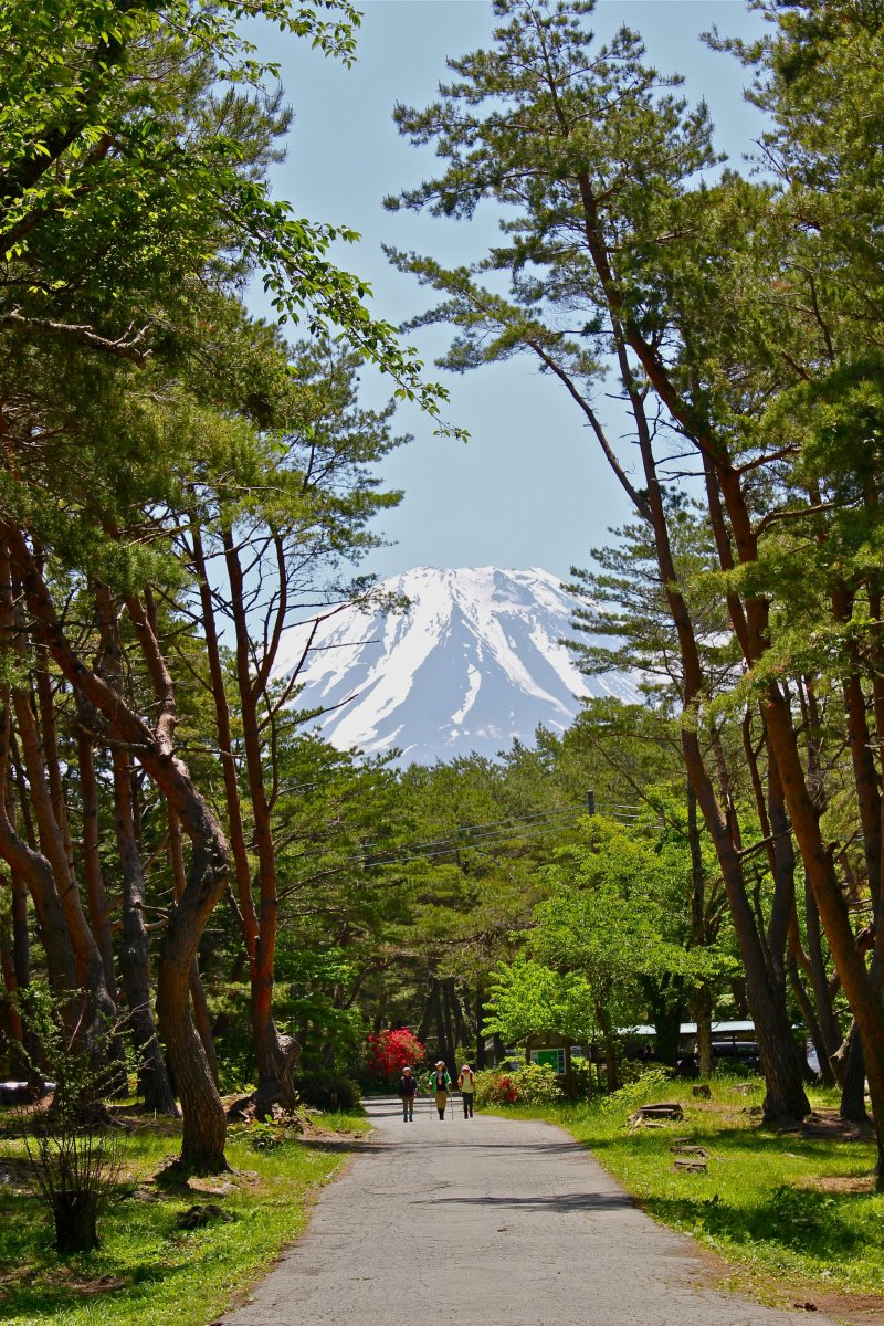 <p>Taken in May timeframe, Mt. Fuji was such a sight to see while camping!</p>