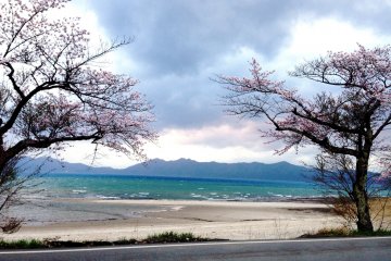 <p>Cherry blossoms, mountain and lake views from your window.</p>