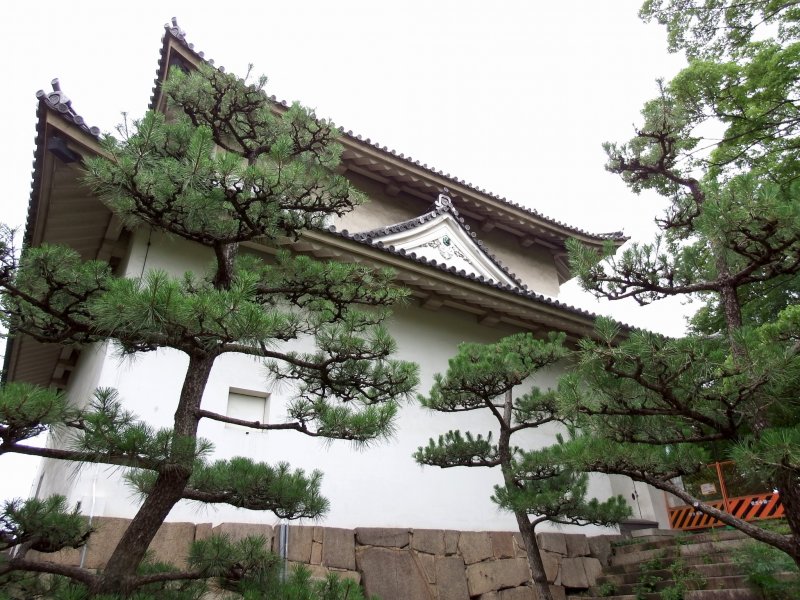 <p>The Rokuban (sixth) Turret and Japanese pine trees</p>