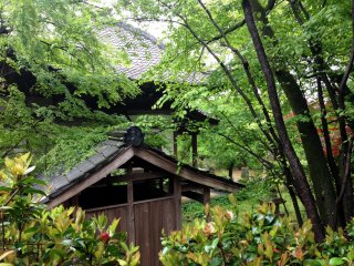 Delicate trees frame an old tea house at Jurinji, just 30 minutes from Muko.