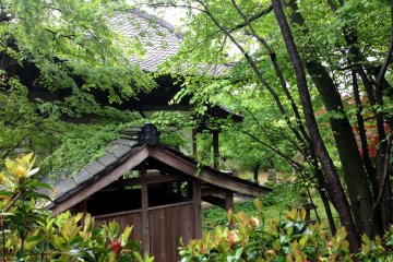 Delicate trees frame an old tea house at Jurinji, just 30 minutes from Muko.